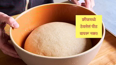 Wheat Flour in Fridges