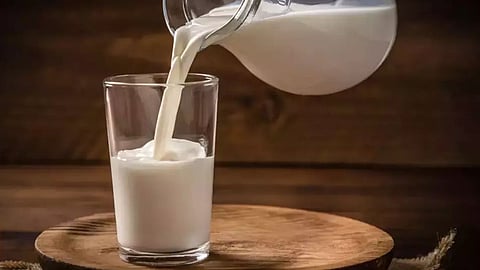 adulterated milk