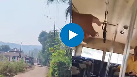 Shocking Video
