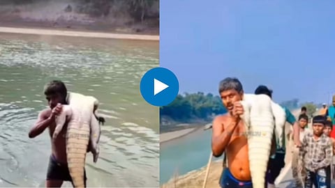 Shocking Viral Video