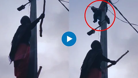 Funny Viral Video