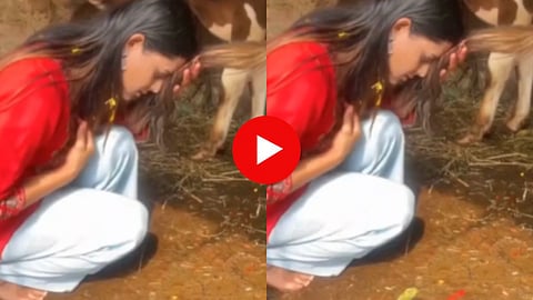 Shocking Video