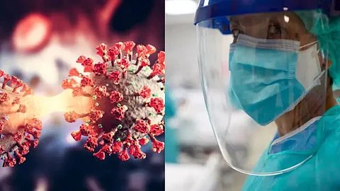 HMPV Virus
