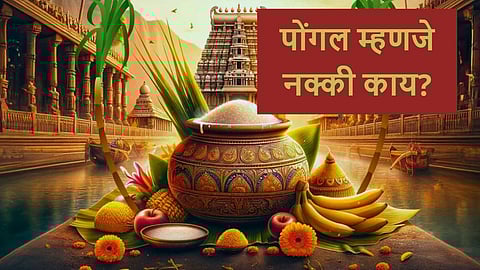 Pongal celebration, Pongal puja vidhi