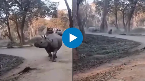 Viral Video