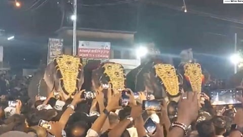 Elephant Tossed Man In The Air