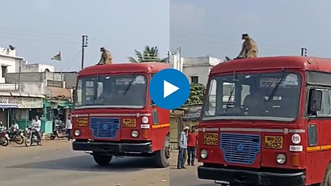 Dharashiv Viral Video