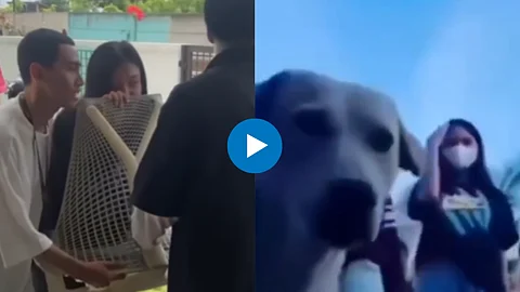 Viral Video