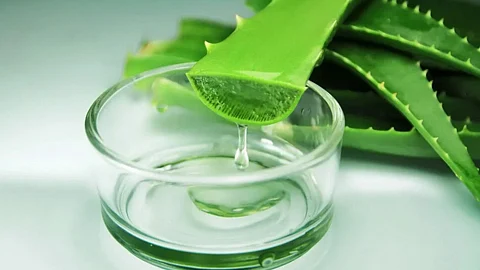 Aloe Vera Gel