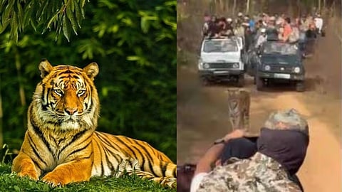 tourism