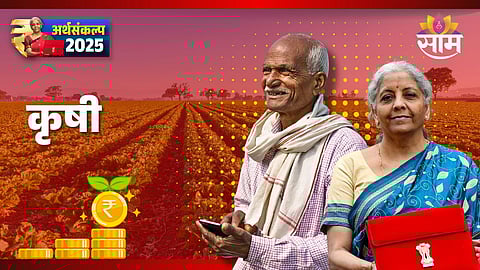 Budget 2025 pm dhan dhanyan krishi yojana
