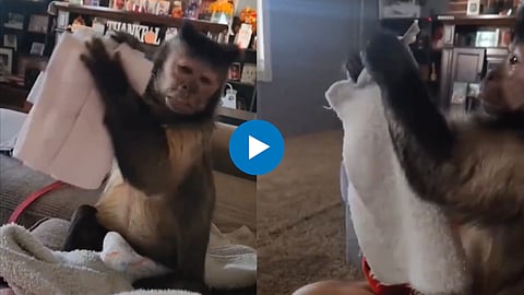 Viral Video
