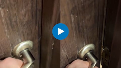 Shocking Viral Video