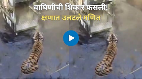 Shocking Viral Video