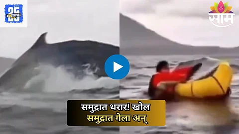 Viral Video