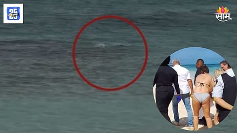 Shark Attack Women