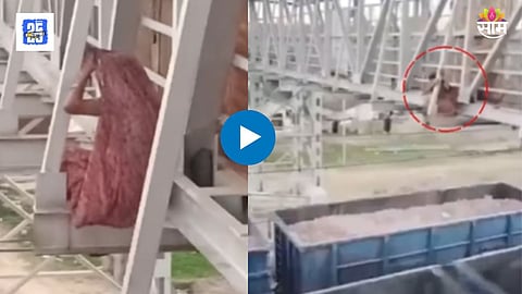 Shocking Viral Video