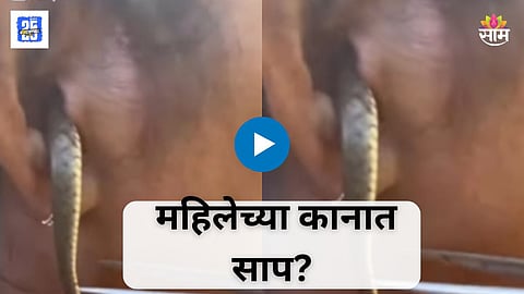 Shocking Viral Video
