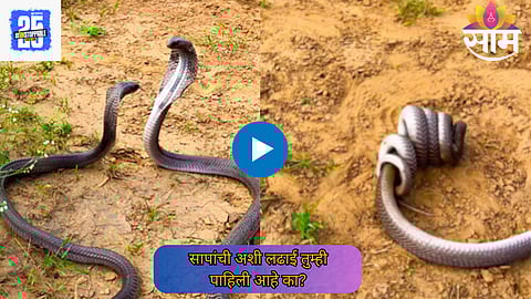 Viral Video