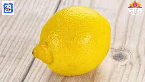 तामिळनाडूमध्ये धार्मिक कारणांसाठी वापरल्या जाणाऱ्या एका लिंबाचा लिलाव १३,००० रुपयांना झाला आहे.