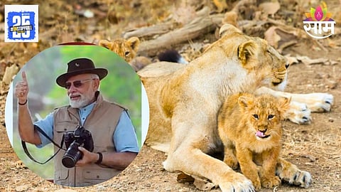 PM Modi Jungle Safari Wildlife Day 2025