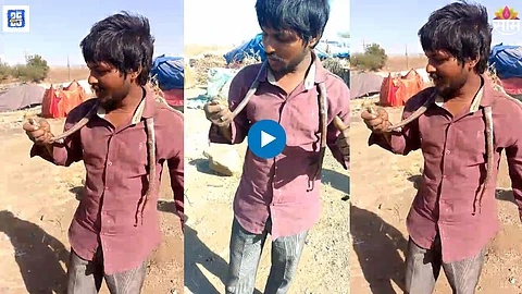 Shocking Viral Video