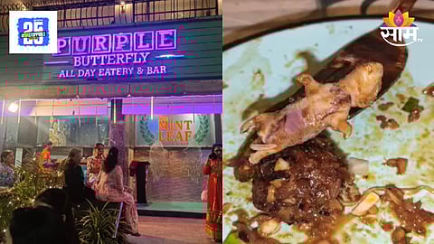 Purple Butterfly Hotel Rat in women food