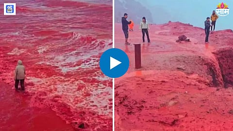 Blood rain Viral Video