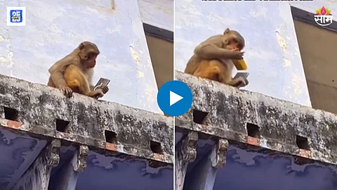 Vrindavan viral video