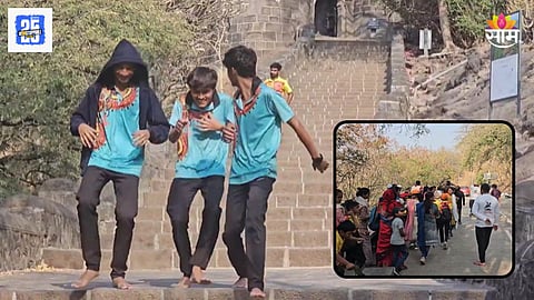 Shivneri Fort: शिवनेरी किल्ल्यावर मधमाश्यांचा हल्ला, ५० दुर्गप्रेमी जखमी; नेमकं घडलं काय?