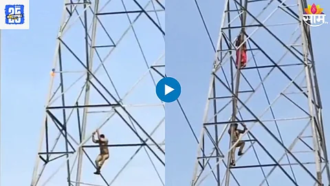 Viral Video News