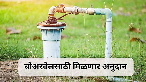 Government Scheme