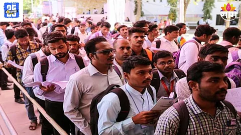 Government Job