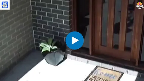 Shocking Viral Video