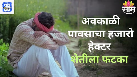 Unseasonal Rain: अवकाळी पाऊस आणि गारपिटीचा हजारो हेक्टर शेतीला फटका; एका रात्रीत पिकं आडवी झाली, बळीराजाच्या डोळ्यात पाणी
