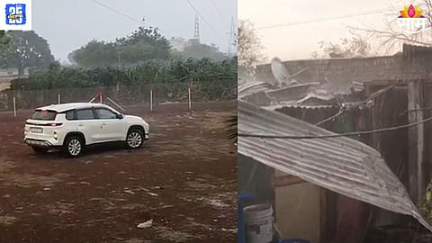 Maharashtra Unseasonal Rain