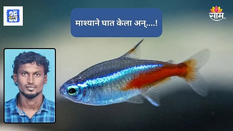 Shocking News: मासेमारीला गेला अन् अनर्थ घडला! जिवंत मासा तोंडात पकडला, घशात अडकून तरुणाचा मृत्यू
