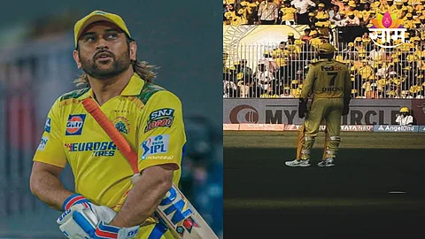 MS Dhoni Property