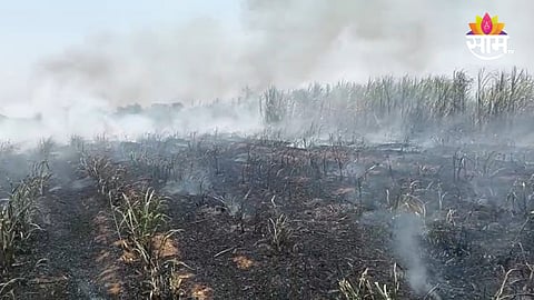 Pune Sonwadi Supe sugarcane burnt to ashes
