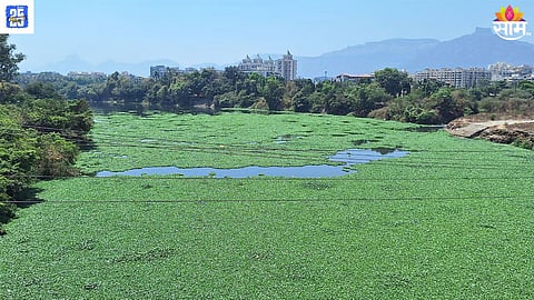 Ulhas River : उल्हास नदी मोकळा श्वास घेणार; प्रदूषण रोखण्यासाठी पालिकेने घेतला मोठा निर्णय