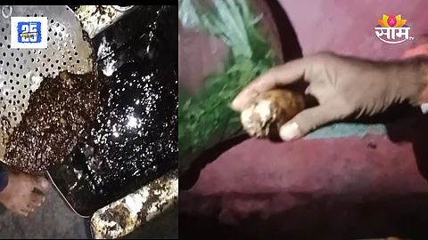 Kalyan Samosa Video Viral