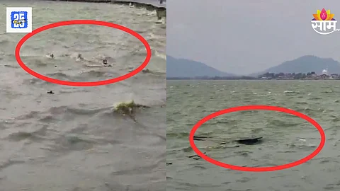 काश्मीरच्या दल सरोवरमध्ये बोट उलटली, पर्यटकांचा जीव वाचवण्यासाठी धावा, १७ सेकंदाचा व्हिडिओ