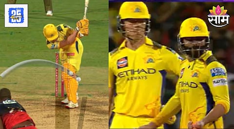 Dewald Brevis Wicket Controversy