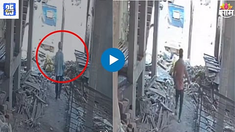 Nagpur Accident Video