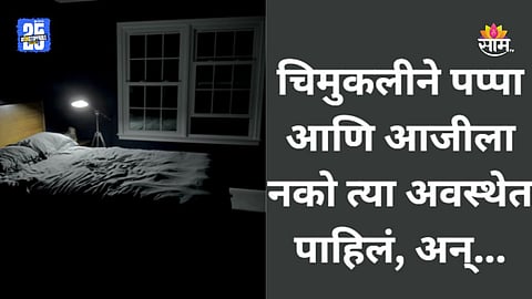 Solapur Crime: पप्पा आणि आजीला नको त्या अवस्थेत पाहिलं, संतापलेल्या बापाने चिमुकलीचा जीव घेतला