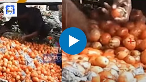 Tomato Video