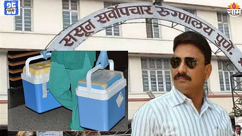 Pune kidney scam News