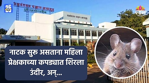 Pune News: नाटकाचा प्रयोग पाहण्यात दंग, अचानक महिला प्रेक्षकाच्या कपड्यात शिरला उंदीर, अन्...