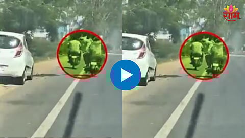 Shocking Viral Video