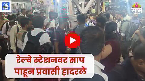 Snake spotted at Dombivli railway